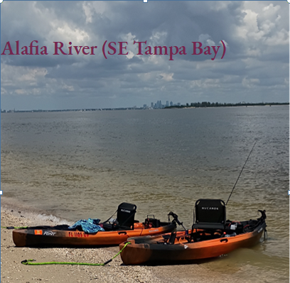 Full Day Rental 5-6 Hours