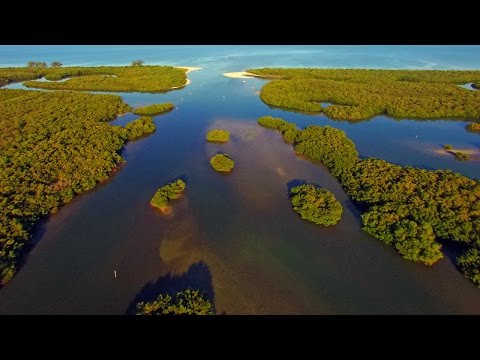Collier County: Cocohatchee River Park